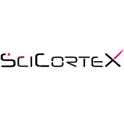 SciCortex Technologies Corp.