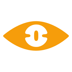 LeoVision