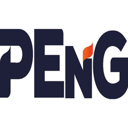 Patience Enterprises Group Inc